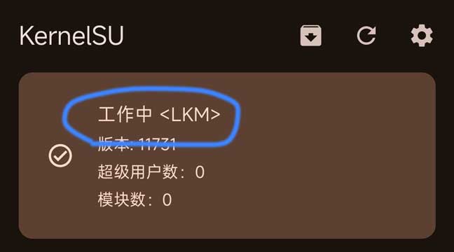 工作中LKM